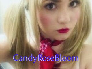 CandyRoseBloom