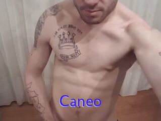 Caneo