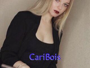 CariBois