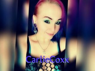 CarlieCoxx