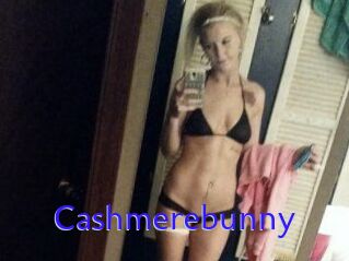 Cashmerebunny