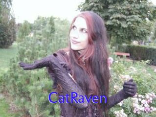 CatRaven