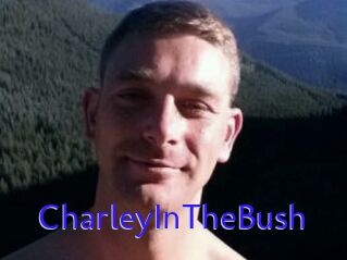 CharleyInTheBush