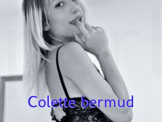 Colette_bermud