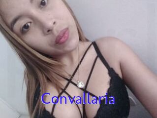 Convallaria