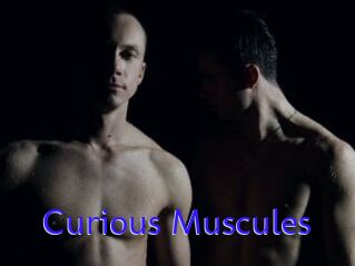 Curious_Muscules