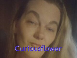 Curiousflower