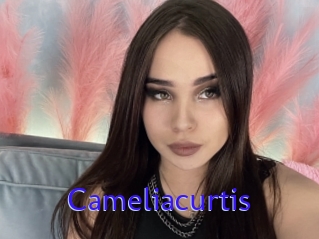 Cameliacurtis