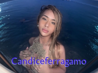 Candiceferragamo