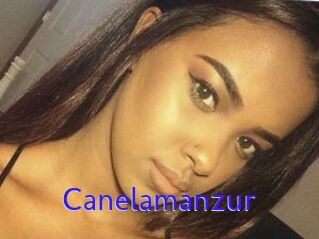 Canelamanzur