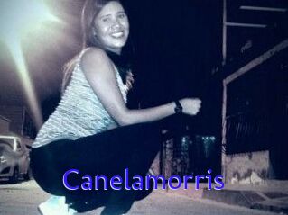 Canelamorris