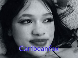 Caribeanfox