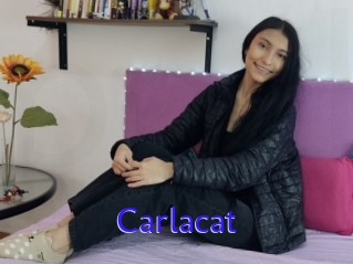 Carlacat