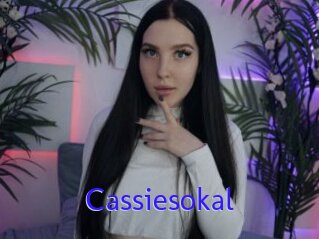 Cassiesokal