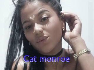 Cat_monroe