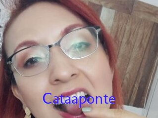 Cataaponte