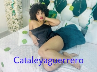 Cataleyaguerrero