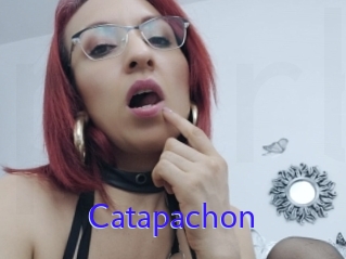 Catapachon