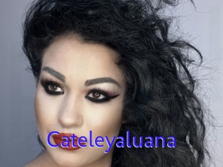 Cateleyaluana