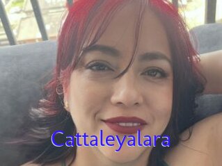 Cattaleyalara