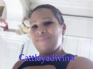 Cattleyadivina