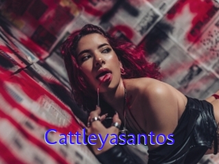 Cattleyasantos