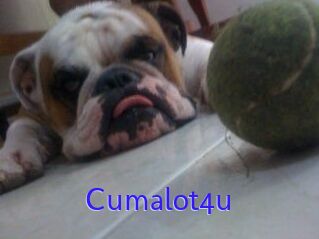 Cumalot4u