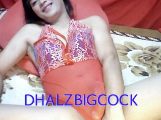 DHALZBIGCOCK