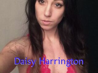 Daisy_Harrington