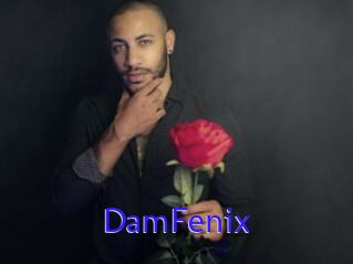 DamFenix