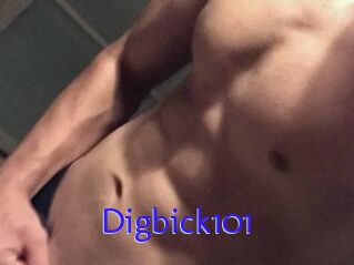 Digbick101