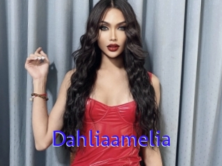 Dahliaamelia