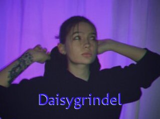 Daisygrindel