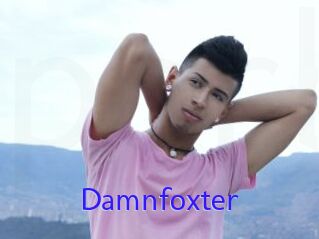 Damnfoxter