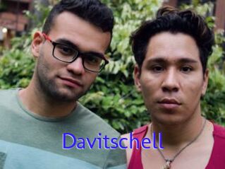 Davitschell