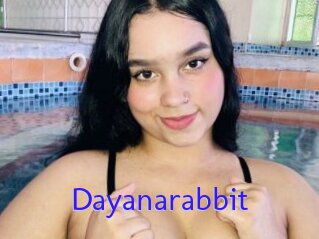 Dayanarabbit