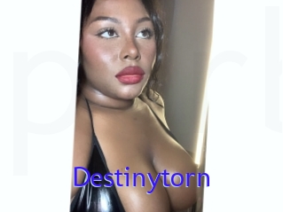 Destinytorn