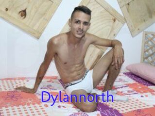 Dylan_north