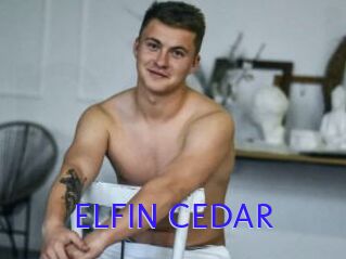 ELFIN_CEDAR