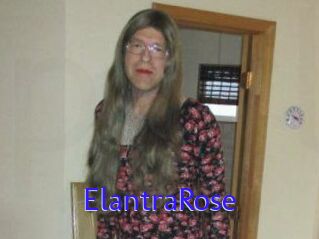 Elantra_Rose