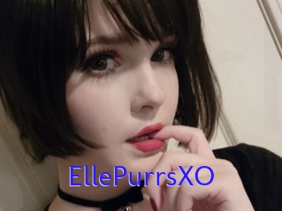 EllePurrsXO