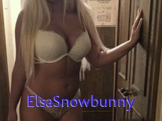 ElsaSnowbunny