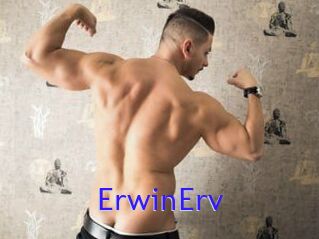 ErwinErv