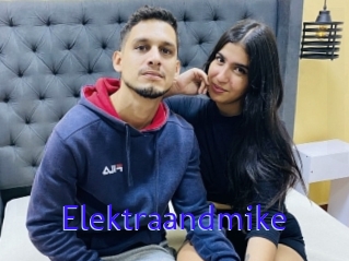 Elektraandmike