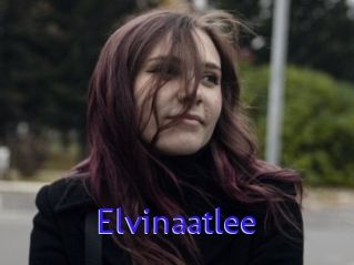 Elvinaatlee