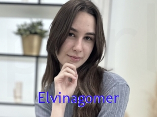 Elvinagomer