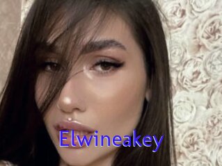 Elwineakey