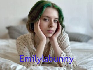 Emilylabunny