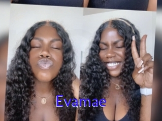 Evamae