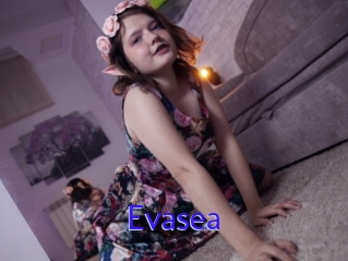 Evasea